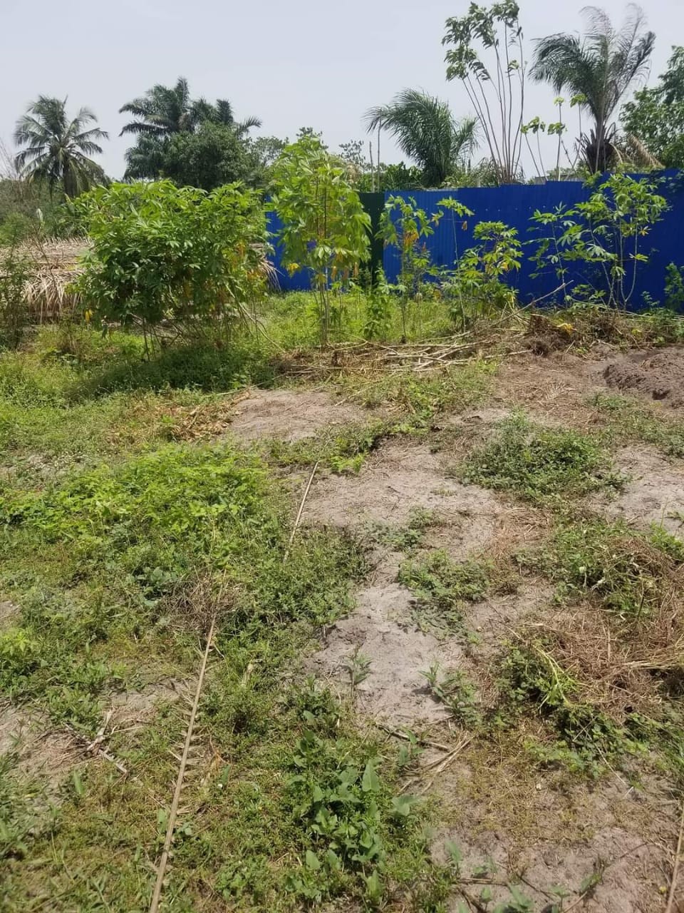 20240724142525