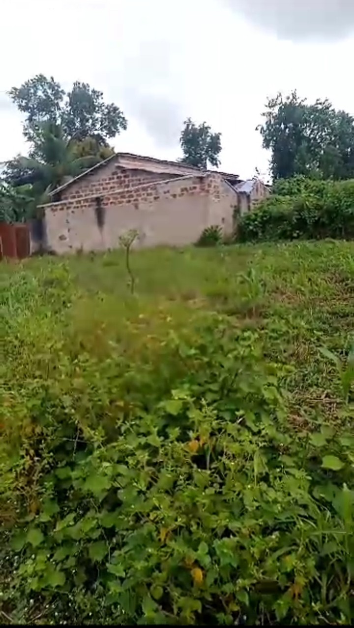 20231025111242