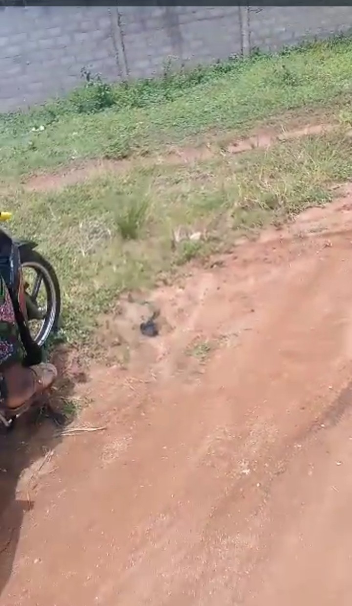 20231025105922