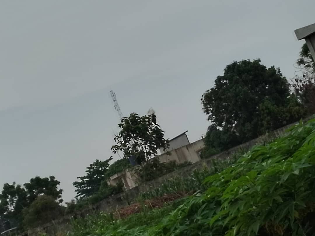 20231031113959