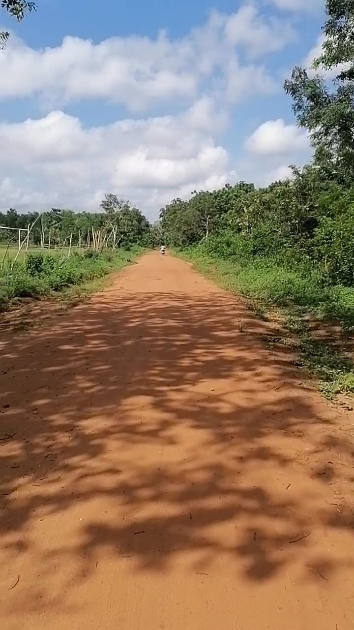 20231130103741