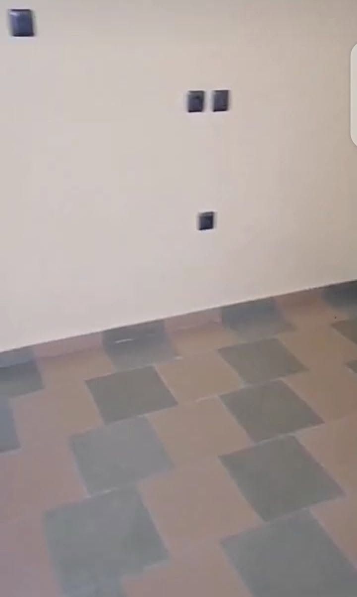 20260617155354
